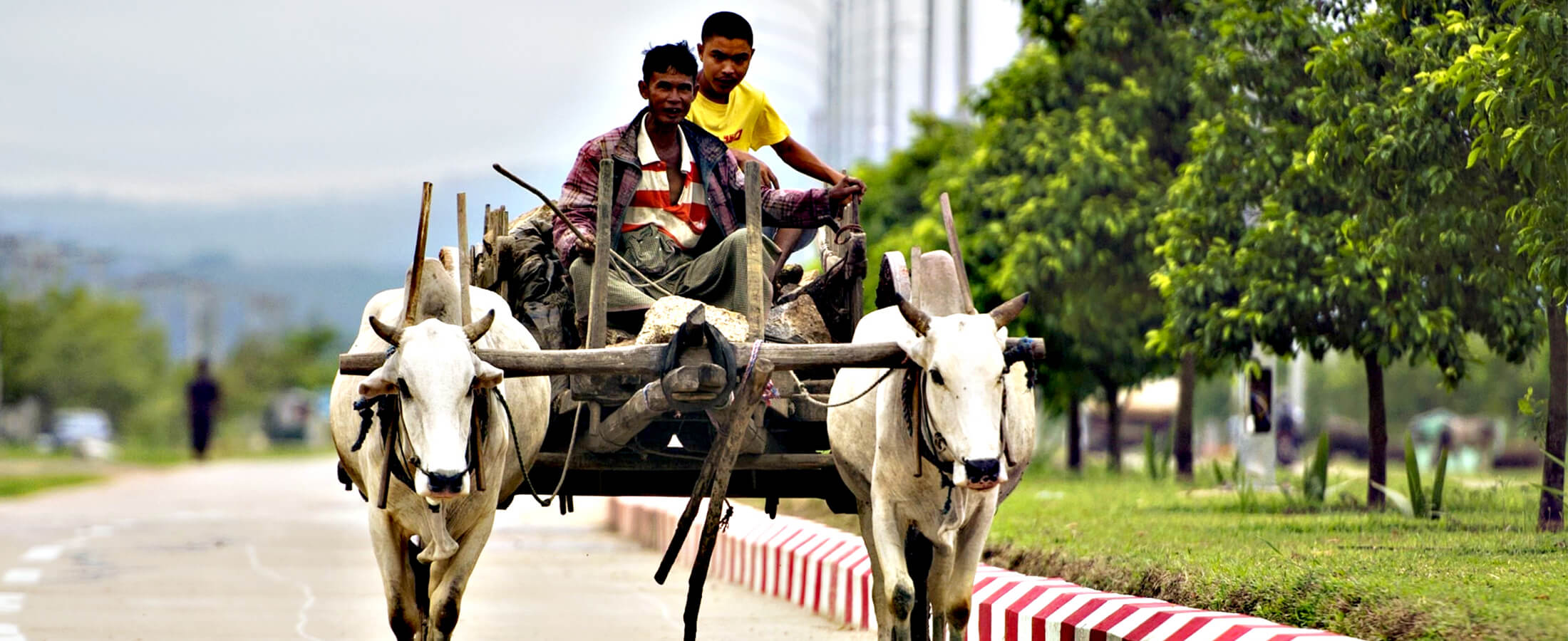 Visit Holiday Lanka tours