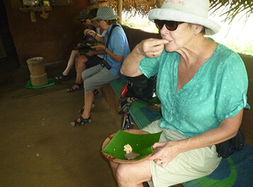 Visit Holiday Lanka tours