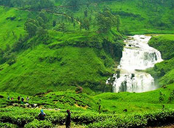 Visit Holiday Lanka tours