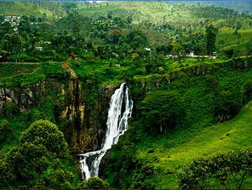 Visit Holiday Lanka tours
