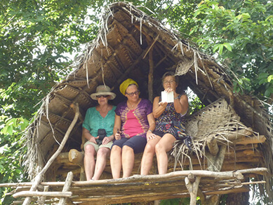 Visit Holiday Lanka tours